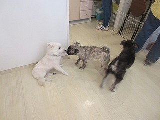 IMG_6856.jpg