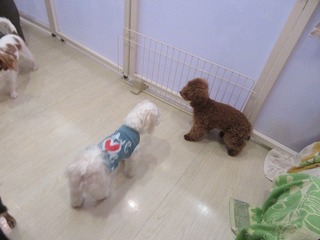 IMG_6868.jpg