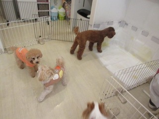 IMG_6880.jpg