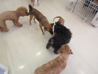 IMG_6881.jpg