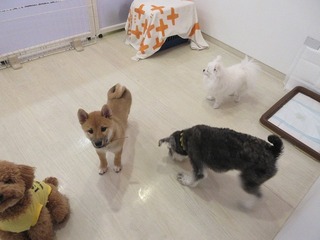 IMG_6913.jpg