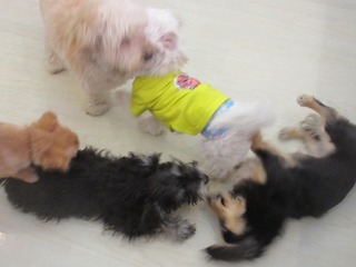 IMG_6928.jpg
