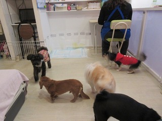 IMG_6939.jpg