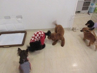 IMG_6979.jpg