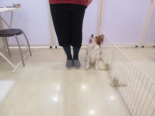 IMG_6995.jpg