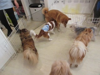 IMG_7187.jpg