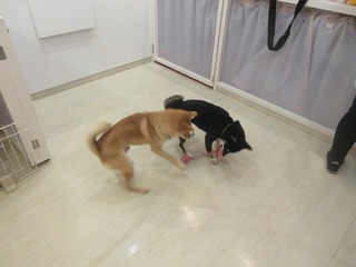 IMG_7290.jpg