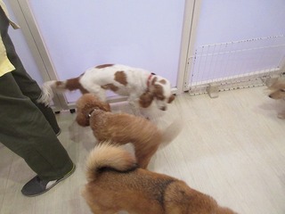 IMG_7295.jpg