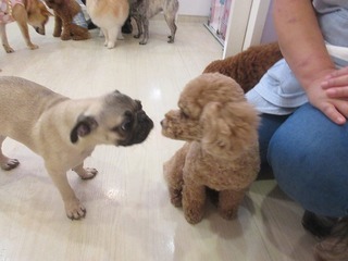 IMG_7329.jpg