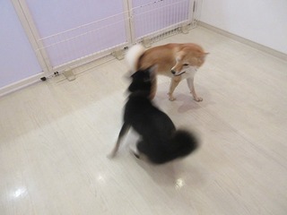 IMG_7380.jpg