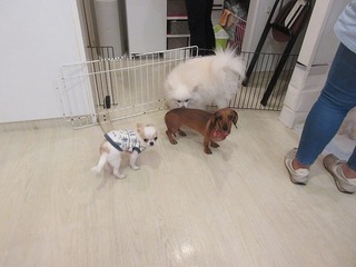 IMG_7423.jpg