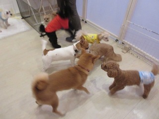 IMG_7424.jpg