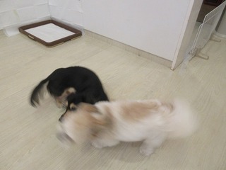 IMG_7486.jpg