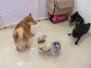 IMG_7541.jpg
