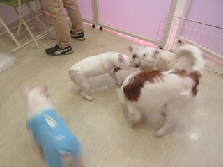 IMG_7584.jpg