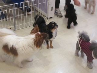 IMG_7591.jpg