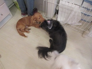 IMG_7628.jpg
