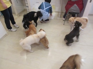 IMG_7696.jpg