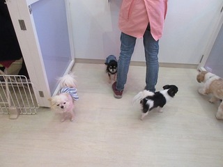 IMG_7699.jpg