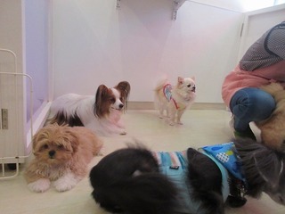 IMG_7701.jpg