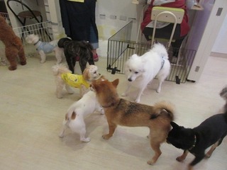 IMG_7709.jpg