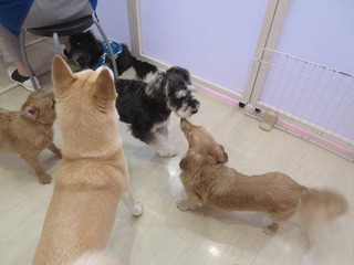 IMG_7770.jpg