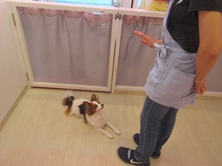 IMG_7772.jpg