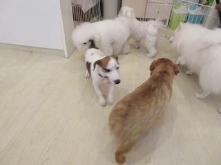 IMG_7803.jpg