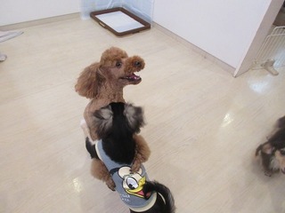 IMG_7815.jpg