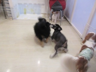 IMG_7839.jpg