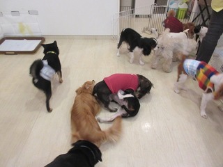 IMG_7843.jpg