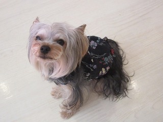 IMG_7864.jpg