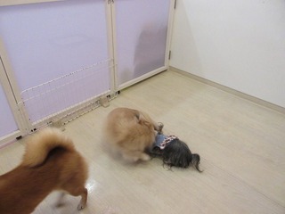 IMG_7878.jpg