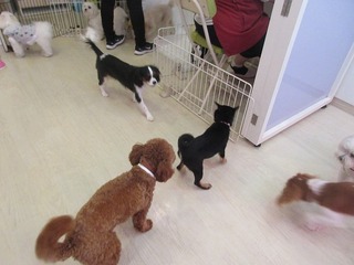 IMG_7880.jpg