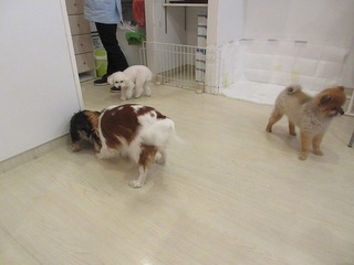 IMG_7893.jpg