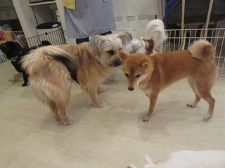 IMG_7905.jpg
