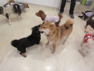 IMG_7906.jpg