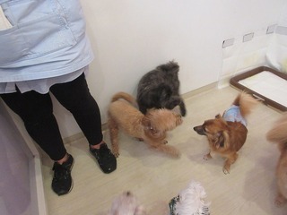 IMG_7920.jpg
