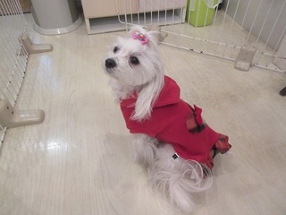 IMG_7925.jpg