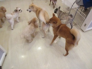 IMG_7927.jpg