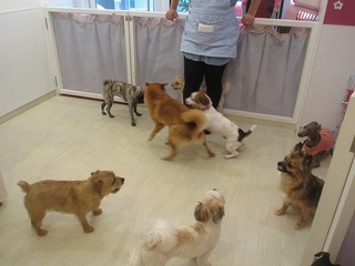 IMG_7935.jpg