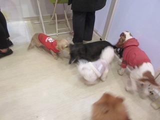 IMG_7947.jpg