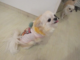 IMG_7957.jpg