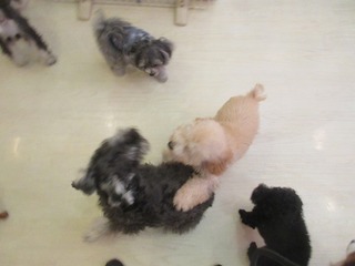 IMG_7967.jpg