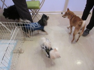 IMG_7975.jpg