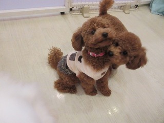 IMG_7997.jpg