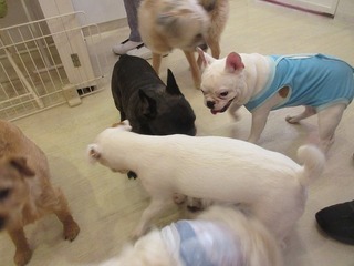 IMG_8048.jpg