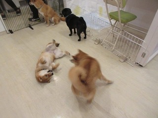 IMG_8078.jpg
