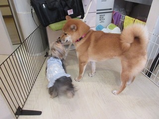 IMG_8083.jpg