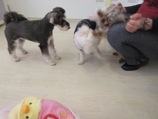 IMG_8146.jpg